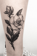 Black rose #blackandgrey #blackart #rosetattoo #art #ink #inked #xystudio #blackwork #flower #flowers #girl #legtattoo #blacktattoo #picoftheday #tattooartist #tattooidea 