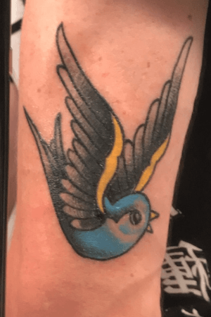 Traditional Swallow #little #chicken #swallow #traditional #traditionaltattoo 