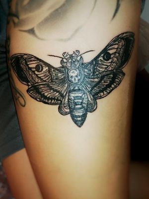 #blackwork #linework #butterfly #moth #skull #tattoodesign #tattooideas #blackandgrey #voodootatts