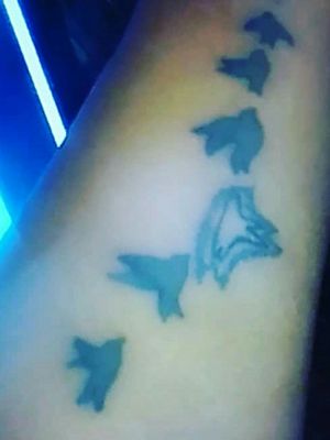 6 flying birds 1 for each member of my family And 1 especial for my mom