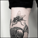 #totemica #tunguska #black #fly #housefly #insect #flyonthewindscreen #tattoo #originalsintattooshop #verona #italy #blacktattooart #tattoolifemagazine #tattoodo #blackworkers #blackwork 