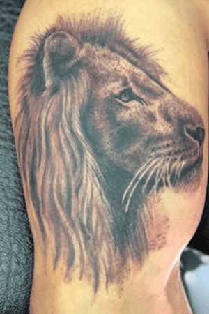 Lion #lion #realism #blackabdgrey #animal