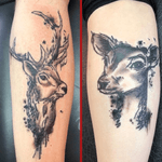 Stag and doe couple’s tattoo #stag #doe #deer #matchingtattoos #couple #animal #blackandgrey 