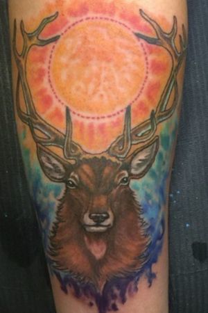 Sun stag done by Issac