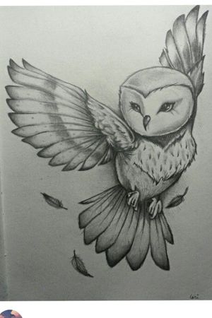 Owl style that I want buy would like a necklace in its claws with a witches star charm on it.  