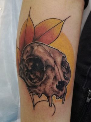 Sean Lewis from the tattoo hub did this wicked sick cat skull for me 