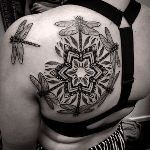 Done by Andy van Rens - Resident Artist @swallowinktattoo @iqtattoo  #tat #tatt #tattoo #tattoos #tattooart #tattooartist #blackandgrey #blackandgreytattoo #geometric #geometrictattoo #omfgeometry #dailydotwork #geometrip #graphic #graphictattoo #graphicdesign #mandala #mandalatattoo #dragonfly #dragonflytattoo #inked #art #dotwork #dotworktattoo #ink #inkedup #tattoos #tattoodo #ink #inkee #inkedup #inklife #inklovers #art #bergenopzoom #netherlands