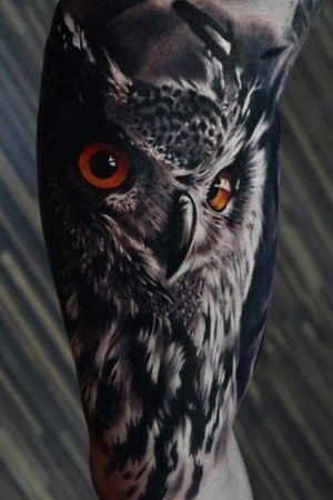 Owl. 