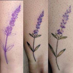 Lavander.  Stencil, completion, and after a few weeks. Color did come out and it will be touched up