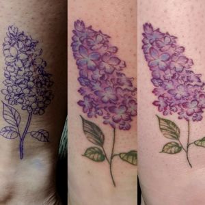 Lilac Stencil, at completion and healing. Located on ankle