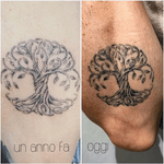 BEFORE/AFTER - TREE OF LIFE 🖤