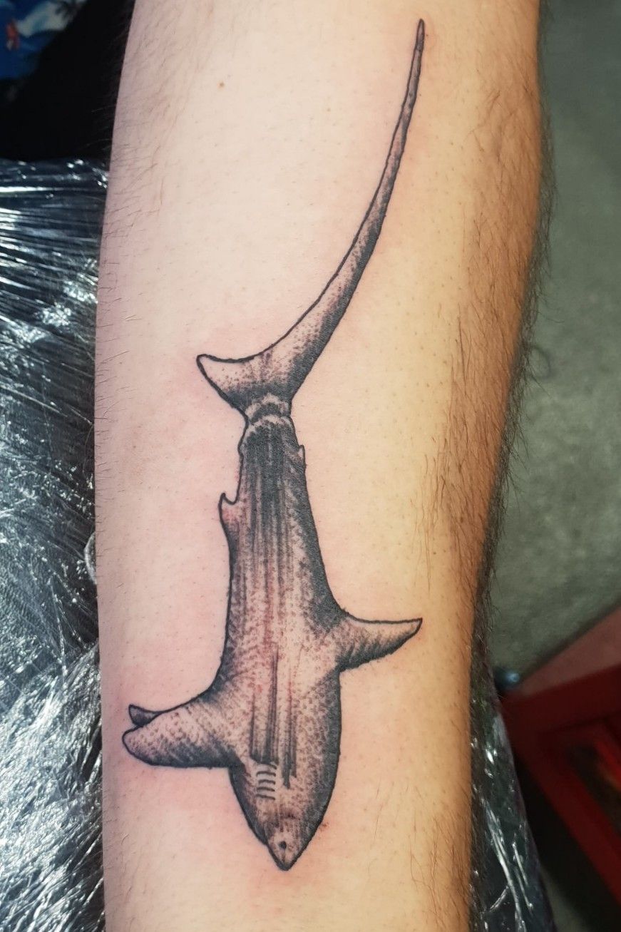 Jorge Castilla  on Instagram Thresher SharkLeopard Shark   shark sharktattoo sharklover  blackandwhite realism shading tattoo tattooart