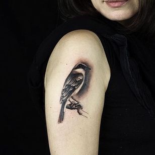Tatuaje de Liam Ryan #LiamRyan #MotorinkFinestTattooing #Amsterdam #realism #realistic #hyperrealism #bird #feather #wings #nature #animals