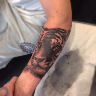 Tatuaje de Liam Ryan #LiamRyan #MotorinkFinestTattooing #Amsterdam #tigre #animal #junglecat #cat #realism #realistic