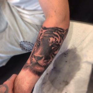 Tattoo by Liam Ryan #LiamRyan #MotorinkFinestTattooing #Amsterdam #tiger #animal #junglecat #cat #realism #realistic