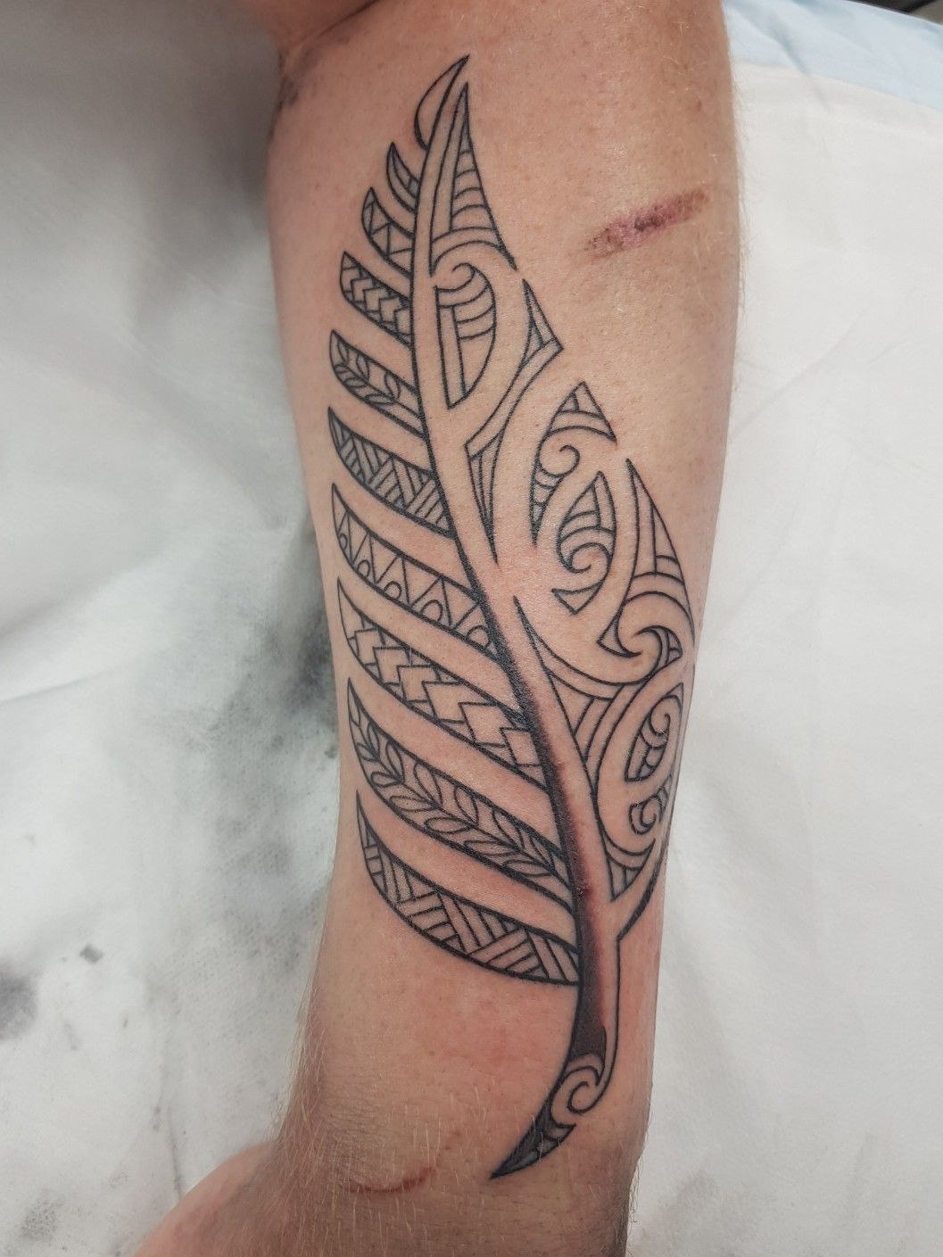 Traditonal Maori silverfern tattoo design with red elements