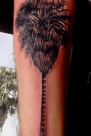 #photorealism #artist #tattooartist #tattooart #art #palmtree #blackandgrey #singleneedle #singleneedletattoo 