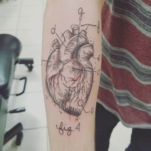 Anatomical Heart 