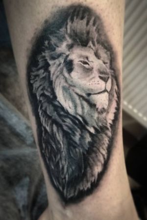 Lion cover up