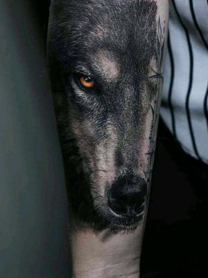 The best tattoo #animals #wolf 
