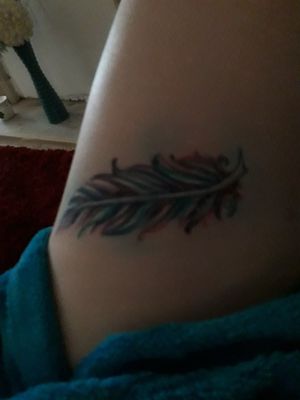 Feather at top ov leg