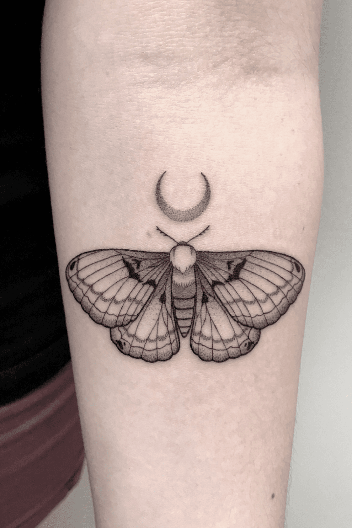 Healed butterfly and moth tattoos I did on a friend  rTattooDesigns