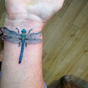 Colour realism dragonfly using world famous inks