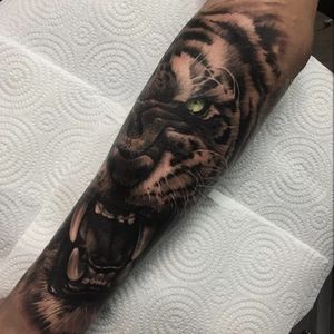 Tiger on the forearm 