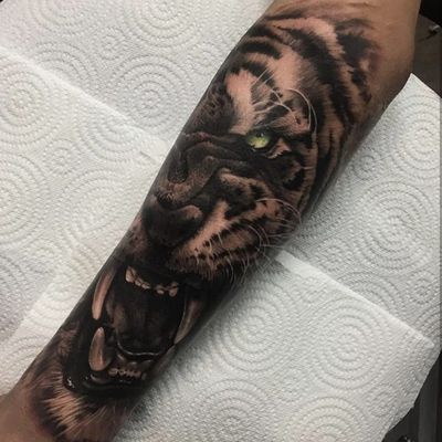 Tiger on the forearm 