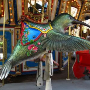 Hummingbird carousel
