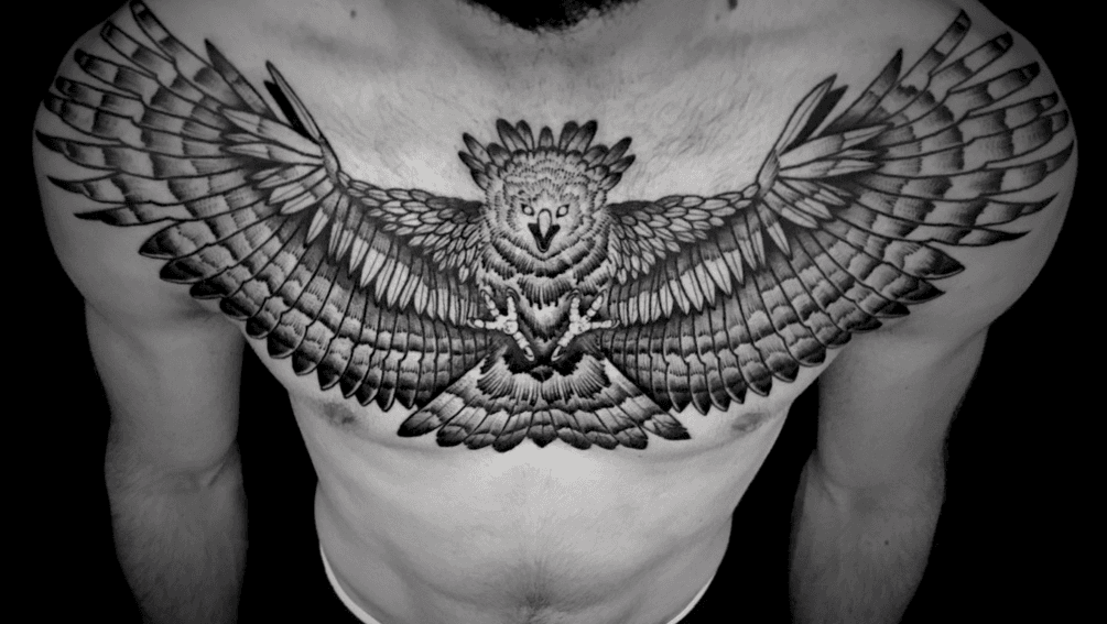 Tattoo uploaded by Noksi • Harpy eagle chest. #noksi #noksitattoo # eagletattoo #eagle #harpy #harpytattoo #harpyeagle #harpyeagletattoo  #blackwork #blackworktattoo #frenchtattooist • Tattoodo