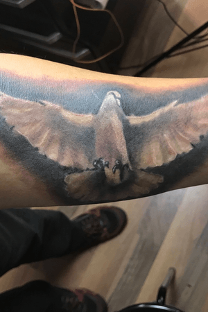 Weisse taube tattoo mit panthera black&gray shading 