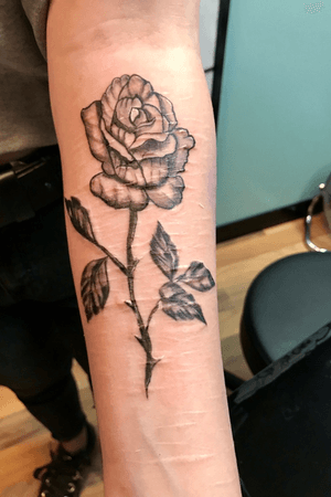 Black and gray rose with lines and standard shades on scares with panthera shading 