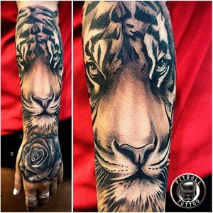 Realistic tiger tattoo #tiger #realistic #phuket #thailand #inkedgirl #blackandgrey #animal #arm #patong #tigertattoo #tattoo #tigertattoo #girl 