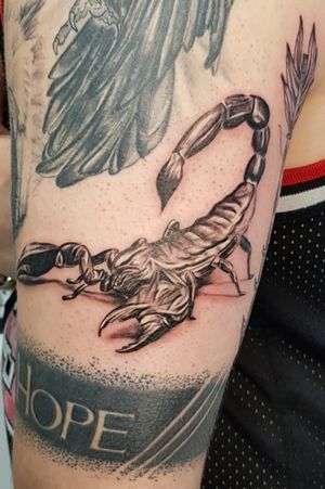 Scorpion zodiac tattoo
