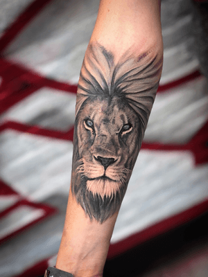 Lion ubderarm tattoo black and grey realism.