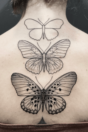“Transformation”  -  INSTAGRAM:  _mfox                            #art #tattoo #butterfly #ink #inked #tattoos #