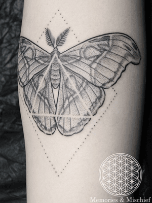 Dotwork Atlas Moth - Unique Design and Tattoo by Mister Mostyn
