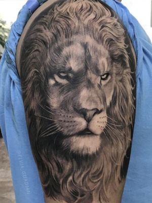 #lion #liontattoo #tattooart 