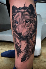 #wolf #wolftattoo #dreamcatcher #wolfindreamcatcher #wolfhead #wolfportrait #wolfface #wolfink #blueeyes #tattooart 
