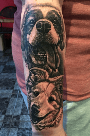 Couple doggies done today