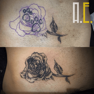 Cover up - rose