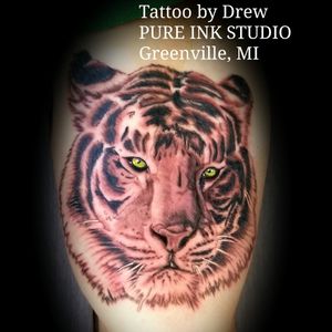 2 sessions on this tiger!