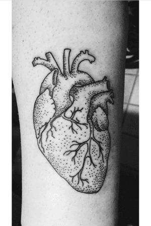 Matching piece•Done by Elisha Schauer @ New London Ink CT #matchingtattoos #heart #anatomicalheart #dotwork #ankle 