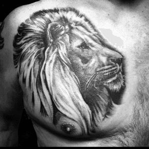 Old Lion on an Old Lion Black and Grey tattoo i did a while back