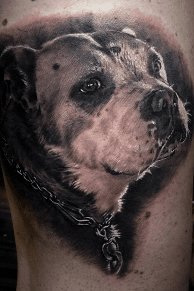 Dog portait #bestrealistictattoos #radtattoos #tattoo_artwork #tattoorealistic #bnginksociety #chinesetattoo #tattooinkspiration #tat #tattoodo #tattoos_of_instagram #tattoo #tattoos #skinart_mag #纹身 #刺青 #纹所未闻家族 #inkgeetstattoos #tattoolifemagazine #inkspiringtattoos #TattooistArtMag #inkedmag #inkedselect #kurosumizhangpogreywashset #zhangpogreywashshadingset