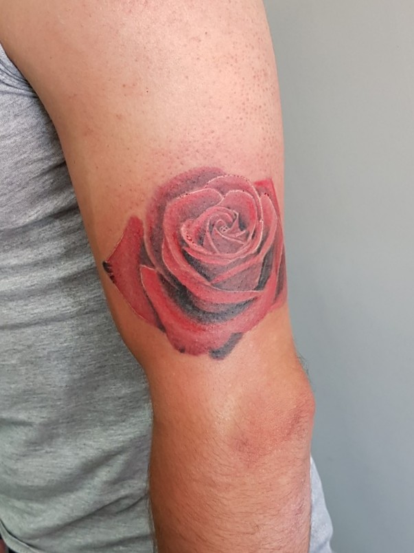 Golden Rose Tattoo and Piercing  Some soft roses by Tyler   Facebook