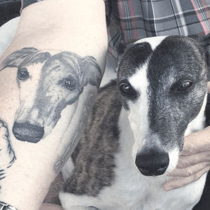 Healed Dotwork Doggie Portrait - Adapted and Tattooed by Mister Mostyn
