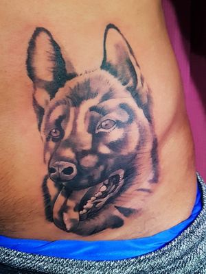 Tatuagem de hoje! Obrigado Lucinei pela confiança! Tattoo em pele morena. 📲📲📲📲📲📲📲📲📲📲 Agendamentos e orçamentos via Whatsapp 984723121. ➖➖➖➖➖➖➖➖➖ #tattoo #tatuagem #arte #art #realism #blackandgrey #electricink #tatuadores #tatuador #like #inked #victoresptattoo #coronelfabriciano #pretonobranco #pastoralemao #pastor #dog #dogtattoo #caodeguarda #viperink