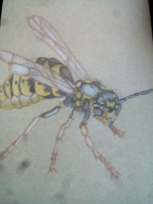 #wasps #wasptattoo #wasp #tattooart #tattoos #tattoo #tattooartist #sketch #artistic #art #drawing #drawings #draw #sketchbook #sketch #pet #evil #death #scary ##nightmares #super 